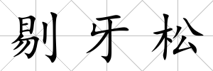 剔牙松