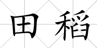 田稻