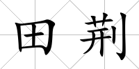 田荊