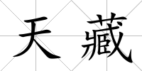 天藏