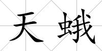 天蛾