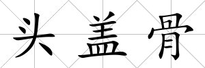 頭蓋骨