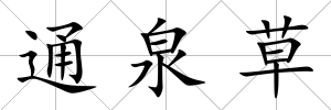 通泉草