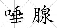 唾腺