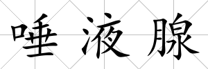 唾液腺