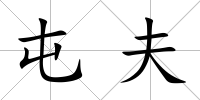 屯夫