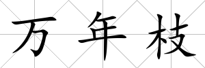 萬年枝