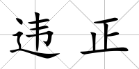 違正