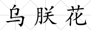 烏朕花
