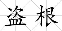 盜根