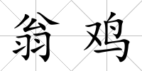 翁雞