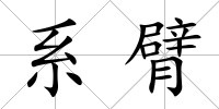 系臂