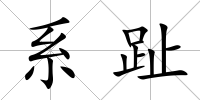 系趾