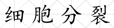 細胞分裂
