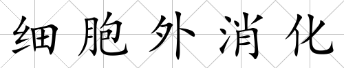 細胞外消化
