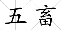 五畜