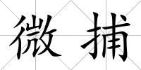 微捕