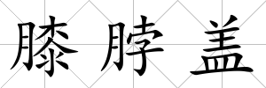 膝脖蓋