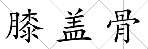 膝蓋骨