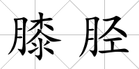 膝脛