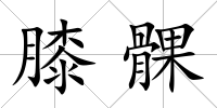 膝髁