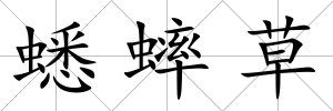 蟋蟀草
