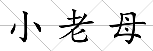 小老母