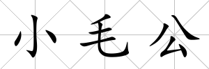 小毛公