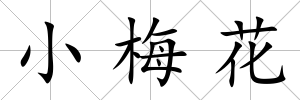 小梅花
