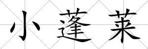 小蓬萊
