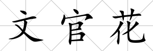 文官花