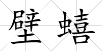 壁蟢