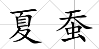 夏蠶
