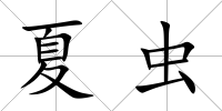 夏蟲