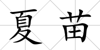 夏苗