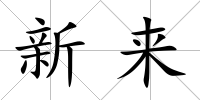 新來