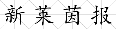 新萊茵報