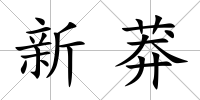 新莽