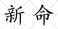 新命