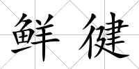 鮮徤