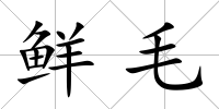 鮮毛