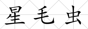 星毛蟲