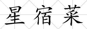 星宿菜