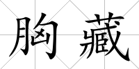 胸藏