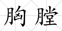 胸膛