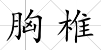 胸椎