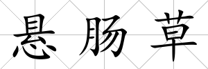 懸腸草