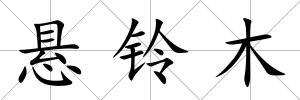 懸鈴木