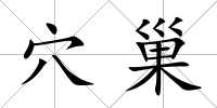 穴巢