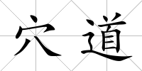 穴道